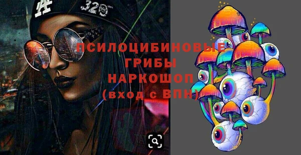 хмурый Абаза