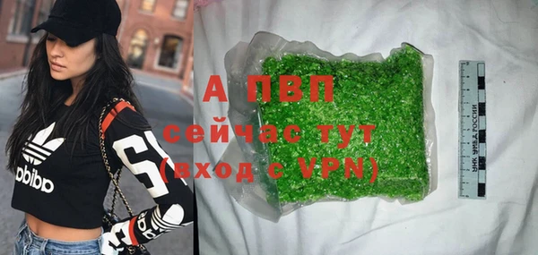 стаф Алексеевка