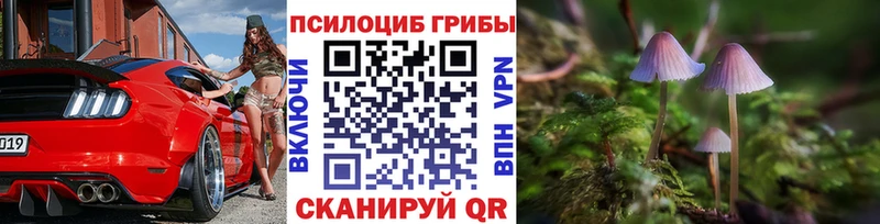 Псилоцибиновые грибы прущие грибы  Нолинск 